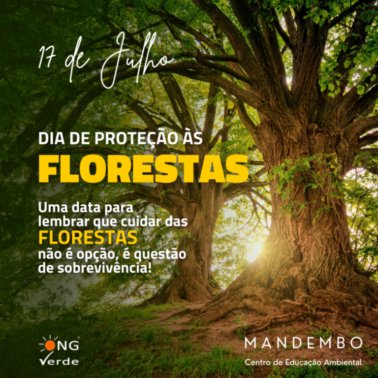 17 de Julho: Dia da Proteção às Florestas