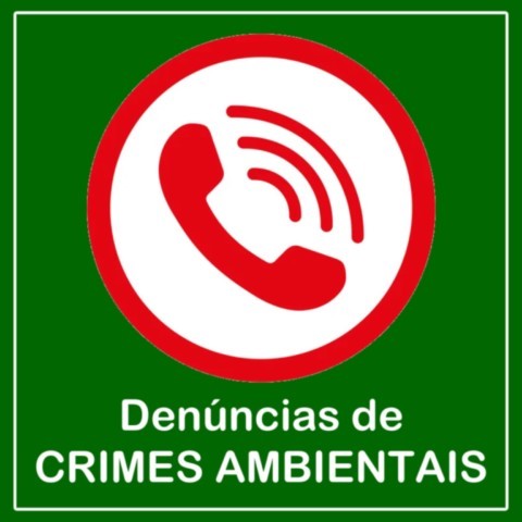 Como e Onde Denunciar Crimes Ambientais