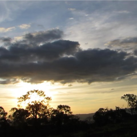 Janela da Mata: Mirante de Observação, Educação e Reconexão com a Natureza