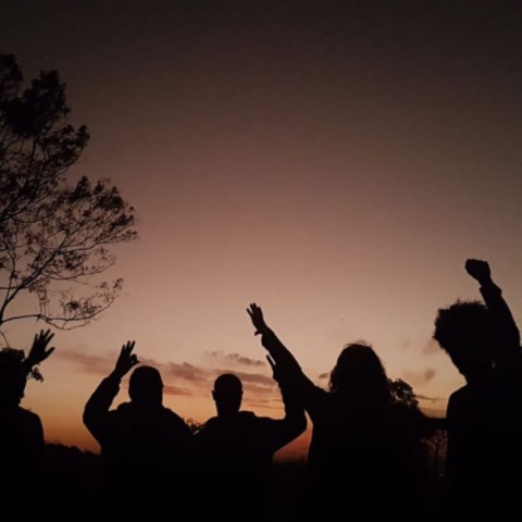 Janela da Mata: Mirante de Observação, Educação e Reconexão com a Natureza