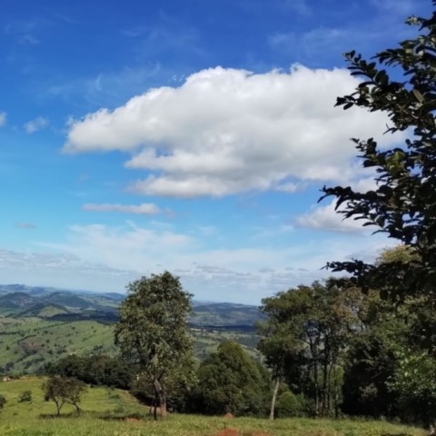 Janela da Mata: Mirante de Observação, Educação e Reconexão com a Natureza