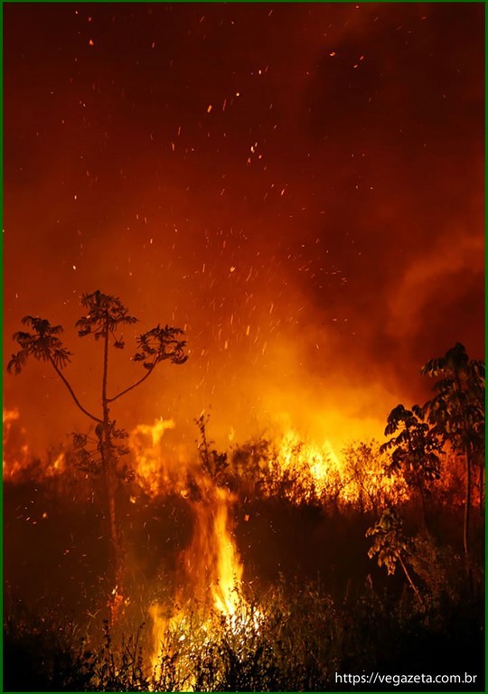 Incêndio no Pantanal (2020)