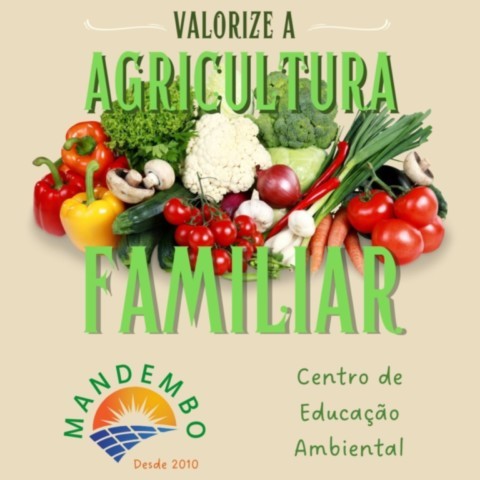 Energia para Cultivar a Vida: Agroecologia e o Papel Estratégico das Energias Renováveis