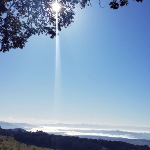 Janela da Mata: Mirante de Observação, Educação e Reconexão com a Natureza